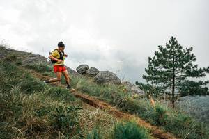 BIB: 
                            <button type="button" onclick="openModal(26006253)" class="btn btn-primary btn-sm float-right btn-popup" data-toggle="modal" data-target=".modal-high-quality">
                        <i class="fas fa-shopping-cart"></i> Add to Cart
                    </button>
                                            <button type="button" onclick="isThisMe(26006253, true)" class="btn btn-success btn-sm float-right btn-popup btn-isme hidden" data-toggle="tooltip" data-placement="bottom" title="นี่คือรูปของคุณใช่ไหม คลิกที่นี่เพื่อเอาเข้าอัลบั้ม">
                        <i class="fas fa-plus"></i> Add to album
                    </button>
                    <button type="button" onclick="isThisMe(26006253, false)" class="btn btn-warning btn-sm float-right btn-popup btn-isnotme hidden">
                        <i class="fas fa-ban"></i> Remove from album
                    </button>